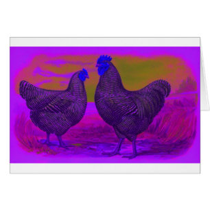 BlackLight