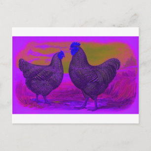 BlackLight Postcard
