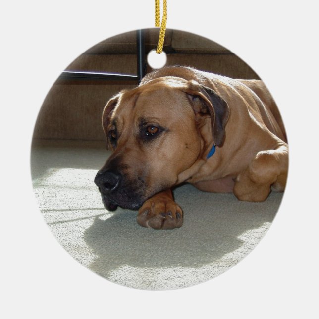 blackmouth cur laying ceramic tree decoration (Front)