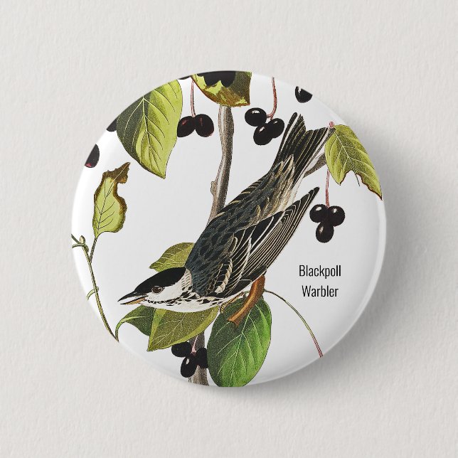 Blackpoll Warbler, Audubon, Birder Style for Wear, 6 Cm Round Badge (Front)