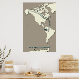 Blackpoll Warbler Migration Map – Minimalist Poster