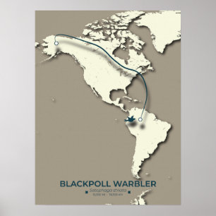 Blackpoll Warbler Migration Map – Minimalist Poster