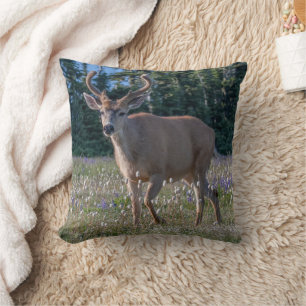 Blacktail Deer Buck Olympic National Park Cushion
