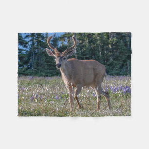Blacktail Deer Buck Olympic National Park Fleece Blanket
