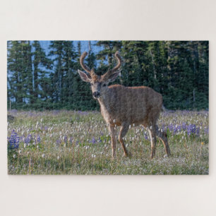 Blacktail Deer Buck   Olympic National Park Jigsaw Puzzle