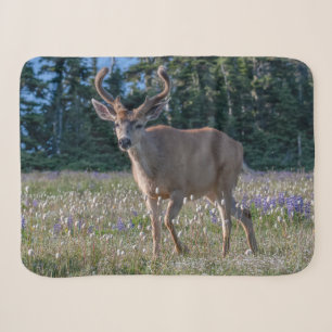 Blacktail Deer Buck Olympic National Park Sherpa Blanket