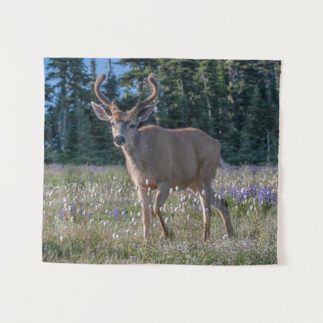 Blacktail Deer Buck | Olympic National Park Tapestry (Front (Horizontal))