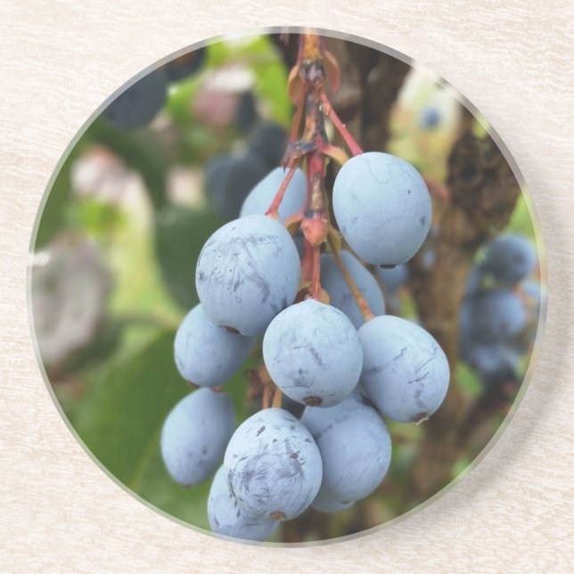 Blackthorn fruit coaster (Front)