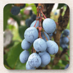 Blackthorn fruit coaster