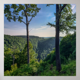 Blackwater Canyon, Blackwater Falls State Park, WV Poster