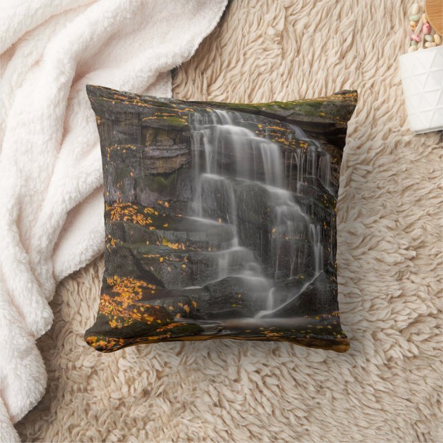 Blackwater Falls State Park Cushion (Blanket)