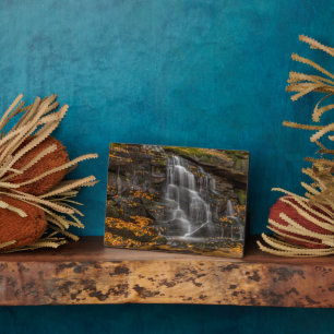 Blackwater Falls State Park Plaque