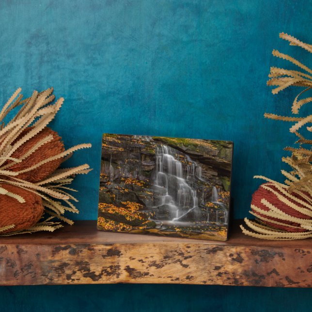 Blackwater Falls State Park Plaque (Side)