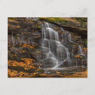 Blackwater Falls State Park Postcard