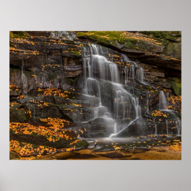 Blackwater Falls State Park Poster (Front)