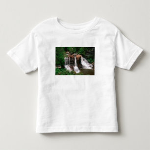 Blackwater Falls, West Virginia, scenic, Toddler T-Shirt
