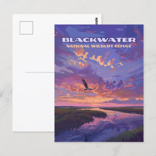 Blackwater National Wildlife Refuge Park Maryland  Postcard
