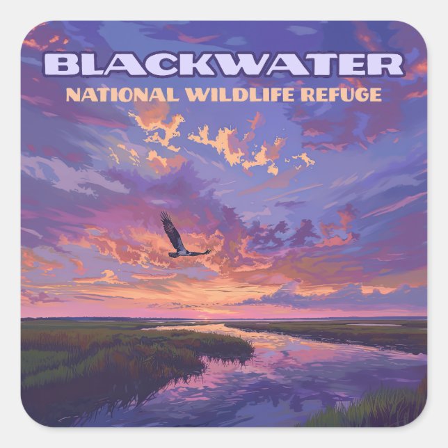 Blackwater National Wildlife Refuge Park Maryland  Square Sticker (Front)