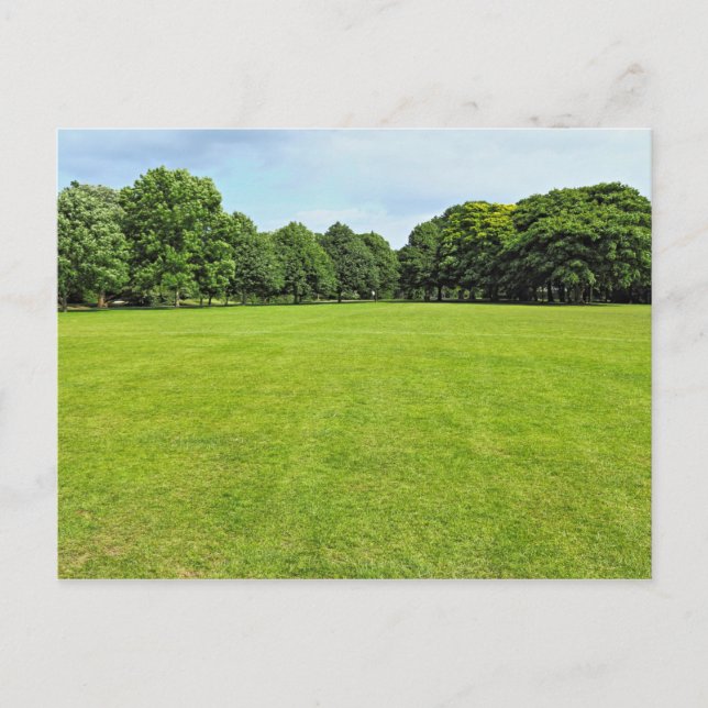 Blackweir Fields, Bute Park, Cardiff, Wales. Postcard (Front)