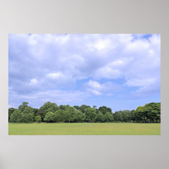 Blackweir Fields. Bute Park, Cardiff, Wales. Poster (Front)