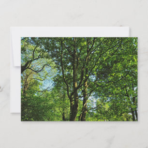 Blackweir Woods, Bute Park, Cardiff Wales Card
