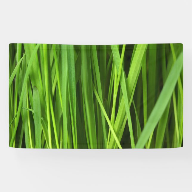 Blades of Grass Banner (Horizontal)