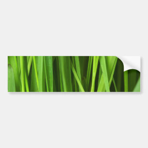 Blades of Grass Bumper Sticker