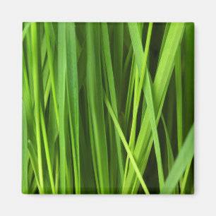 Blades of Grass Magnet