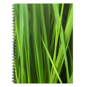 Blades of Grass Notebook