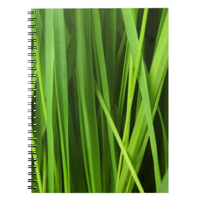Blades of Grass Notebook (Front)