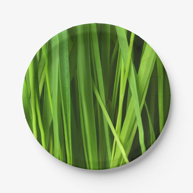 Blades of Grass Paper Plate (Front)