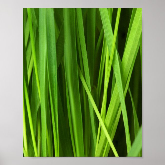 Blades of Grass Poster (Front)