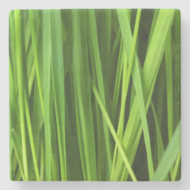 Blades of Grass Stone Coaster (Front)