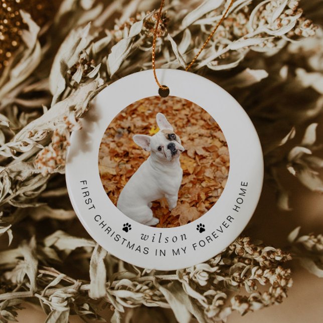 BLAIR Modern 1st Christmas Dog or Pet Photo Ceramic Ornament (Creator Uploaded)