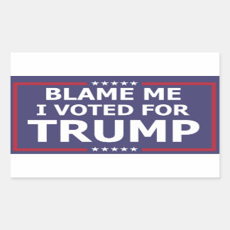 Blame Me Rectangular Sticker