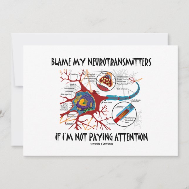 Blame My Neurotransmitters If Not Paying Attention (Front)