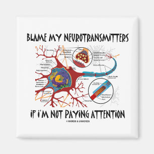 Blame My Neurotransmitters If Not Paying Attention Magnet