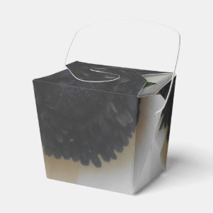 Blanchard Favour Box