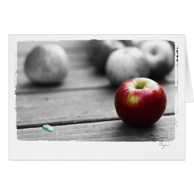 blank all occasion apple photography (Front Horizontal)