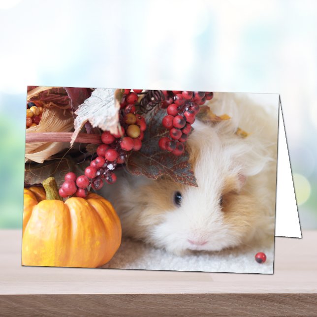 Blank Autumn Scene Guinea Pig Greeting Card (Creator Uploaded)
