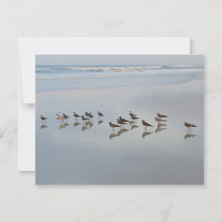 Blank Back Shorebirds On the Beach Nature Thank You Card
