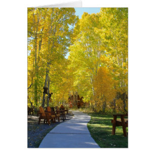 Blank Card, Aspen Trees, Autumn Vertical