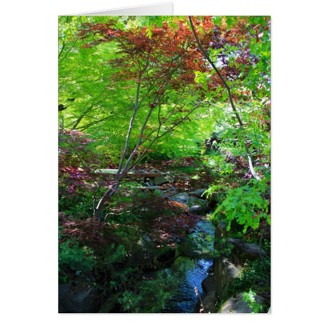 Blank Card, Botanical Garden (Front)