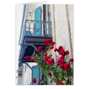 Blank Card, Climbing Red Roses