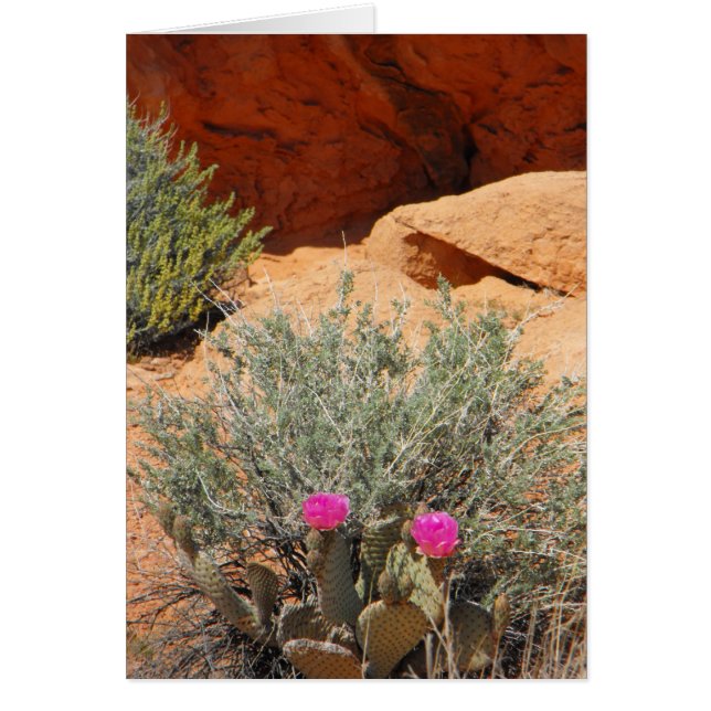 Blank Card, DSCF0348,~in your words~ (Front)