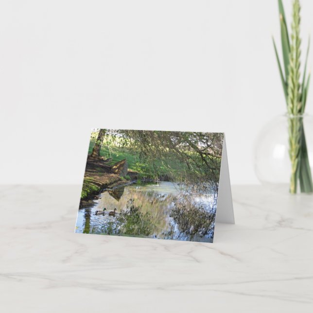 Blank Card, Ducks Thank You Card (Front)