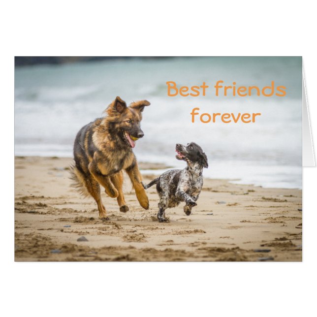 Blank Card German Shepherd Dog and Cockerspaniel (Front Horizontal)