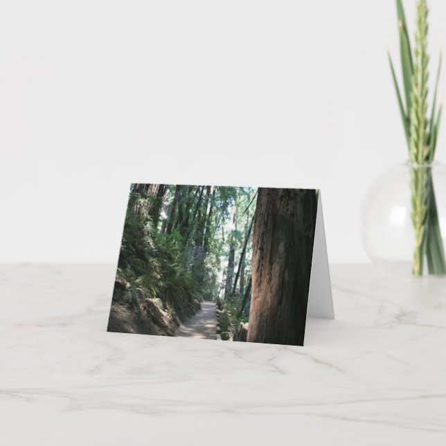 Blank Card, Muir Woods Thank You Card (Front)