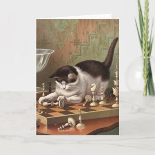 Blank card - Naughty Cat series - Chess Cat