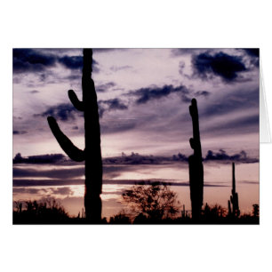 Blank Card - Saguaro at Sunset